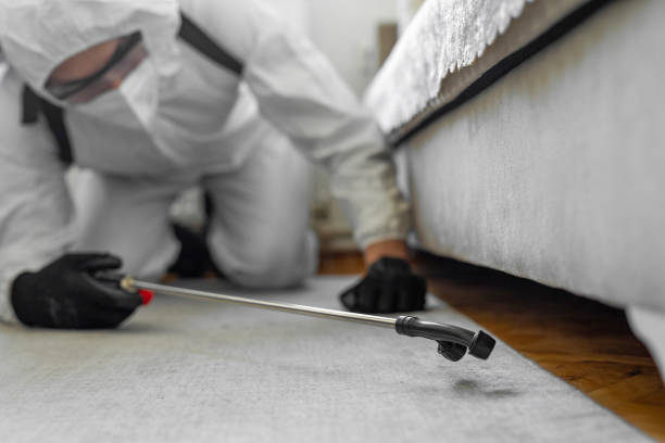 Professional Termite Control technician working in Hideaway, TX